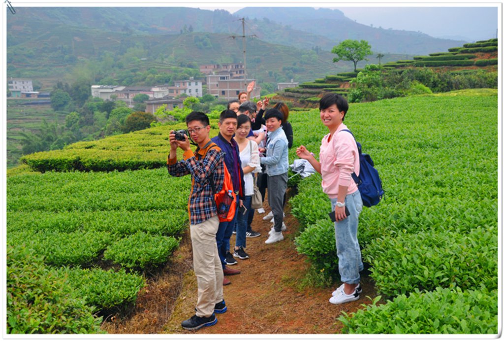 学茶艺去哪里学(图1)