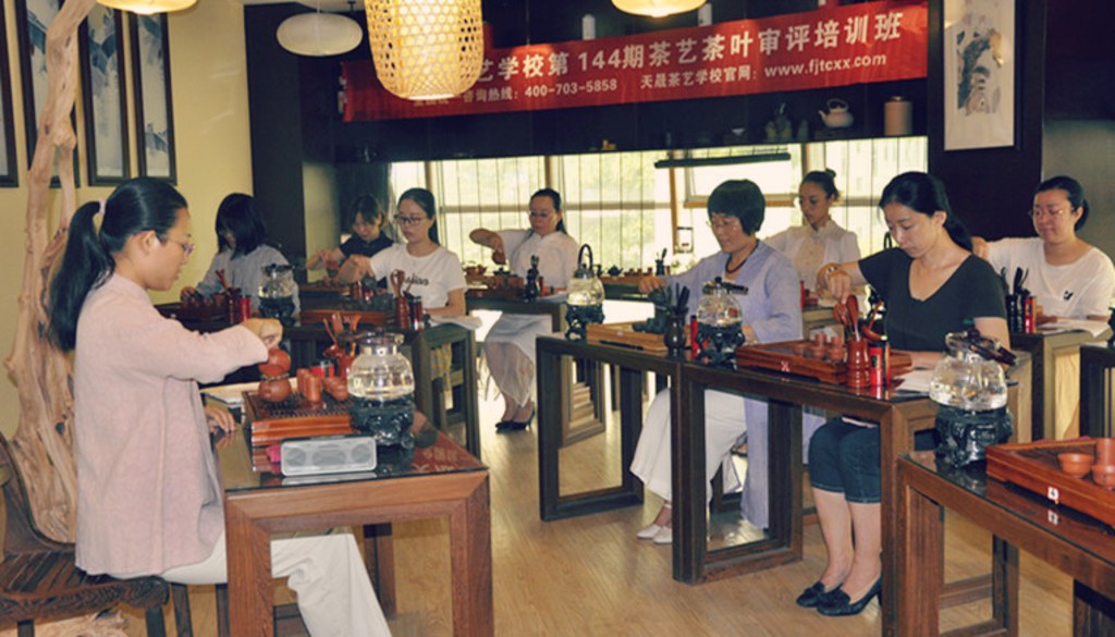 学茶艺去哪里学(图2)