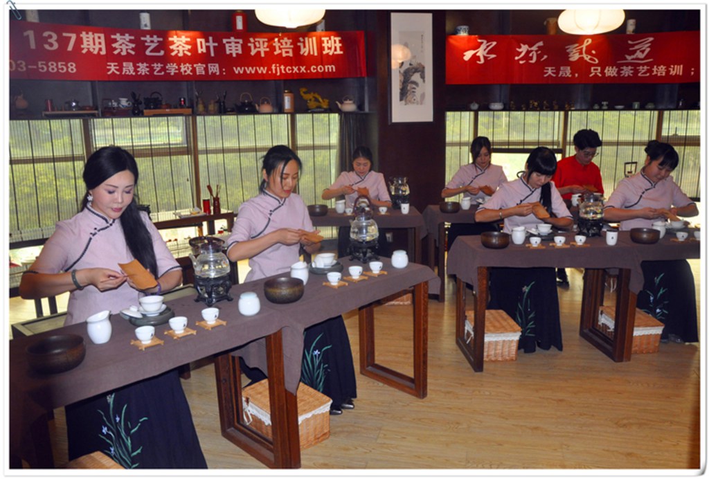 学泡茶在哪里可以学(图4)