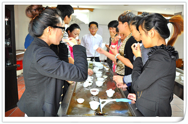 如何考茶艺师证(图2)