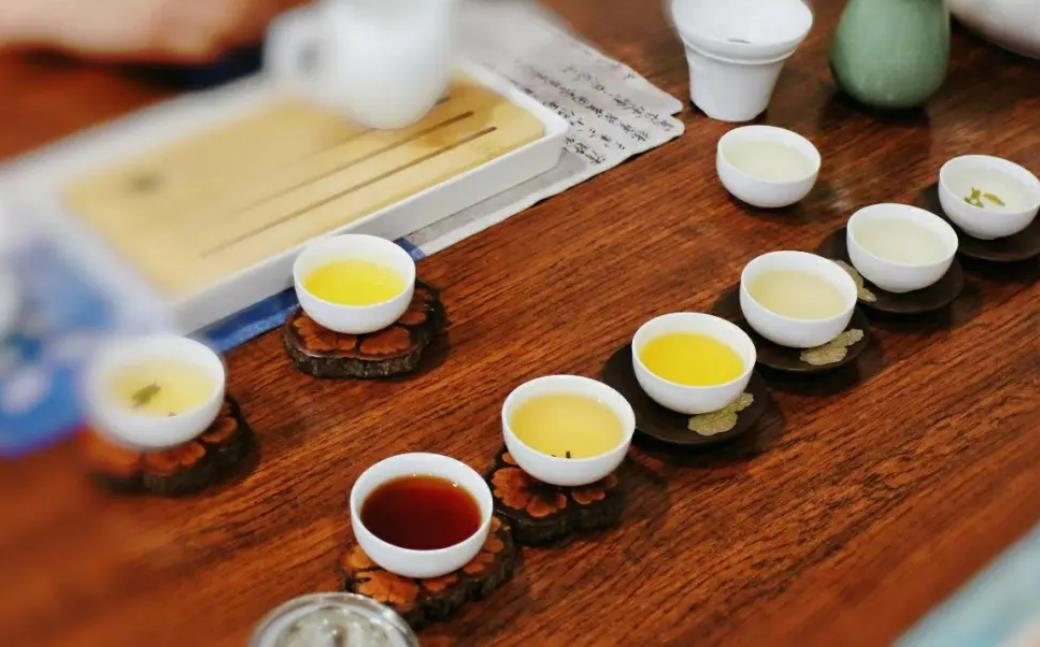 茶艺师培训班善用茶型——天晟中国茶学系统培训班