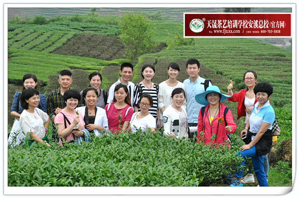 第84期天晟茶艺培训学校中国茶学系统培训班全体学员合照(图2)