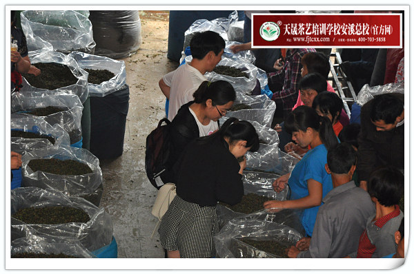 第85期天晟茶艺培训学校中国茶学系统培训班全体学员合照(图3)