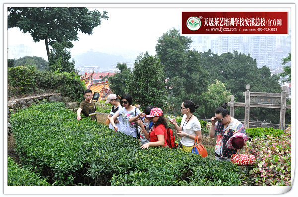 第86期天晟茶艺培训学校中国茶学系统培训班全体学员合照(图2)