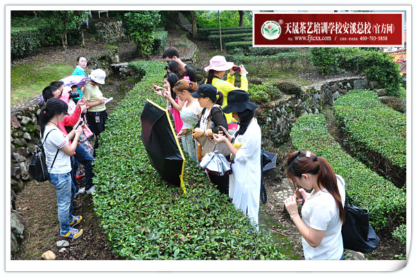 第87期天晟茶艺培训学校中国茶学系统培训班全体学员合照(图3)