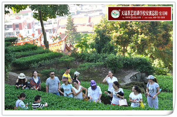 第89期天晟茶艺培训学校中国茶学系统培训班全体学员合照(图3)