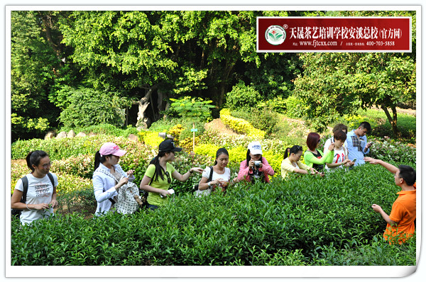 第91期天晟茶艺培训学校中国茶学系统培训班全体学员合照(图4)