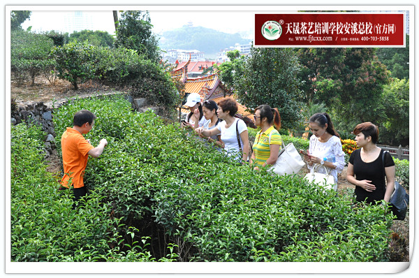 第93期天晟茶艺培训学校中国茶学系统培训班全体学员合照(图1)