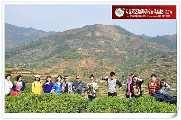 第95期天晟茶艺培训学校中国茶学系统培训班全体学员合照(图2)