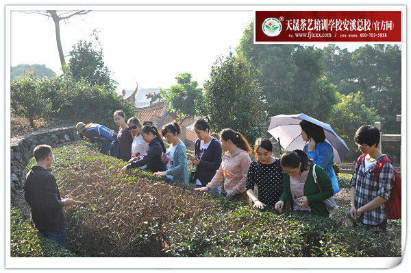 第96期天晟茶艺培训学校中国茶学系统培训班全体学员合照(图1)