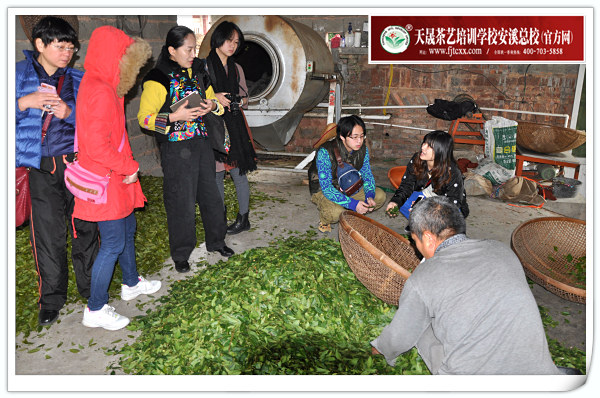 第97期天晟茶艺培训学校中国茶学系统培训班全体学员合照(图2)