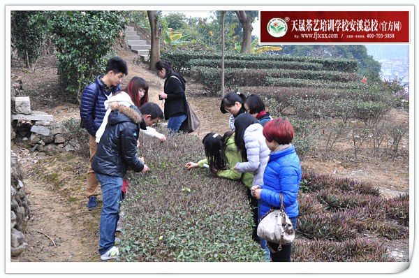 第98期天晟茶艺培训学校中国茶学系统培训班全体学员合照(图2)
