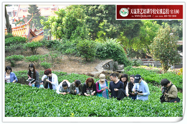 第102期天晟茶艺培训学校中国茶学系统培训班全体学员合照(图4)