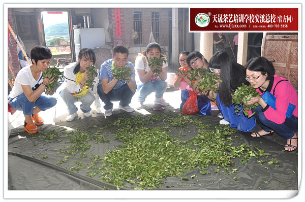 第105期天晟茶艺培训学校中国茶学系统培训班全体学员合照(图3)
