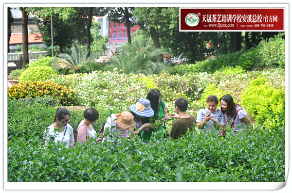 第107期天晟茶艺培训学校中国茶学系统培训班全体学员合照(图1)