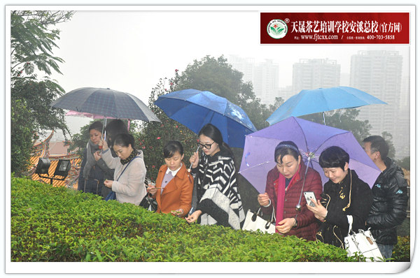 第114期天晟茶艺培训学校中国茶学系统培训班全体学员合照(图3)
