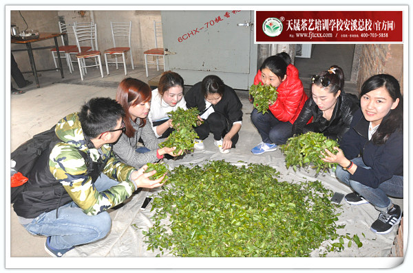 第115期天晟茶艺培训学校中国茶学系统培训班全体学员合照(图4)