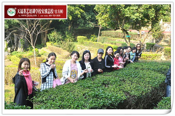 第116期天晟茶艺培训学校中国茶学系统培训班全体学员合照(图4)