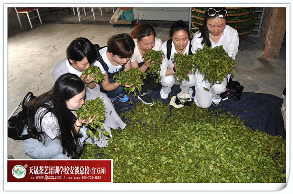 第118期天晟茶艺培训学校中国茶学系统培训班全体学员合照(图3)