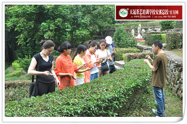 第119期天晟茶艺培训学校中国茶学系统培训班全体学员合照(图2)