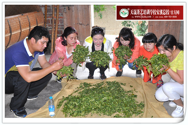 第119期天晟茶艺培训学校中国茶学系统培训班全体学员合照(图3)