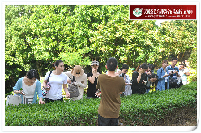 第120期天晟茶艺培训学校中国茶学系统培训班全体学员合照(图2)