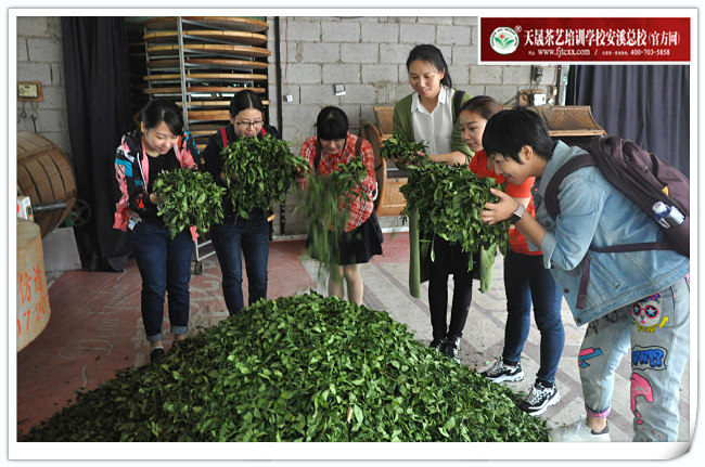 第125期天晟茶艺培训学校中国茶学系统培训班全体学员合照(图4)