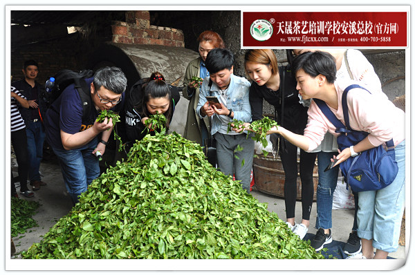 第130期天晟茶艺培训学校中国茶学系统培训班全体学员合照(图5)