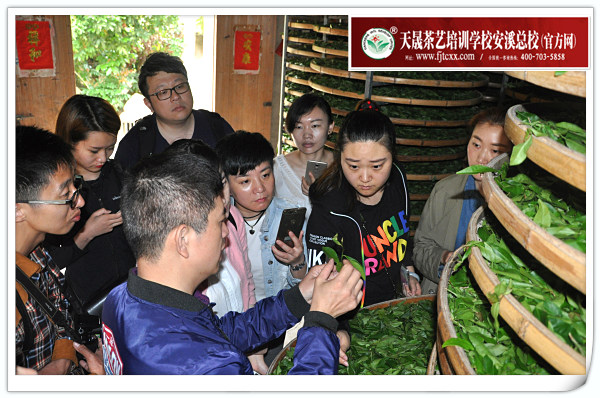 第130期天晟茶艺培训学校中国茶学系统培训班全体学员合照(图4)