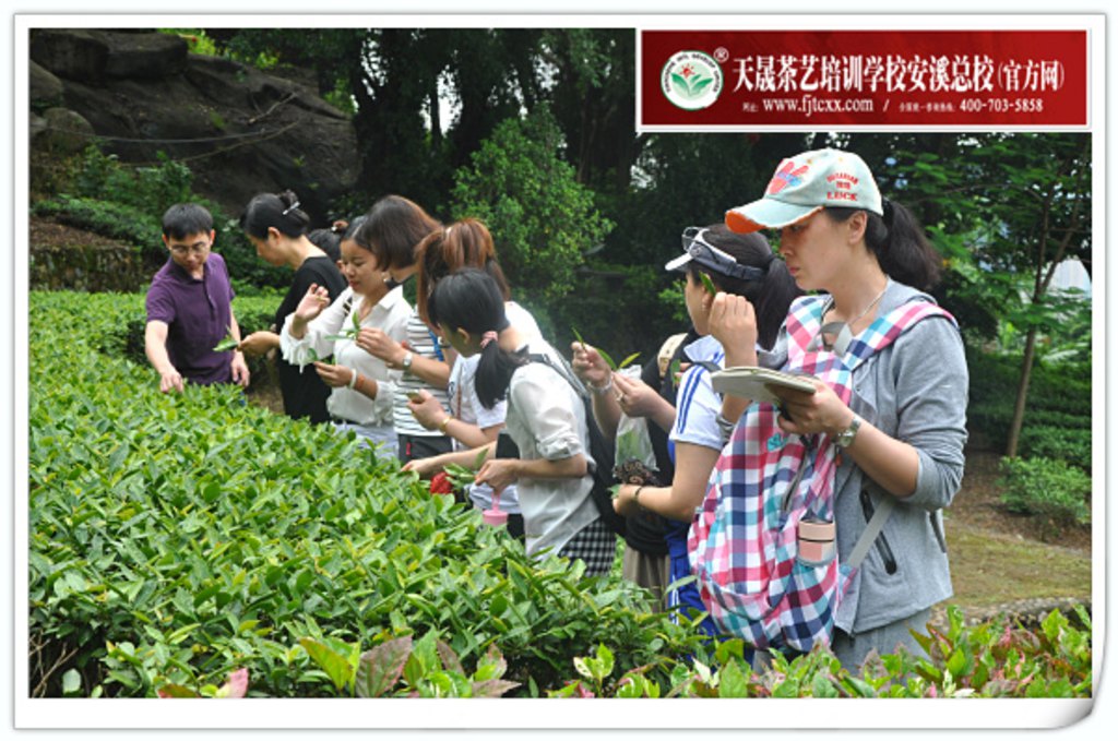 第131期天晟茶艺培训学校中国茶学系统培训班全体学员合照(图5)