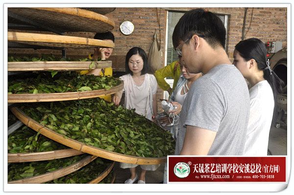 第132期天晟茶艺培训学校中国茶学系统培训班全体学员合照(图1)