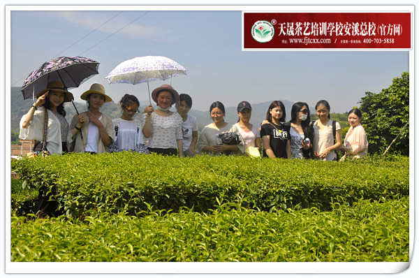 第133期天晟茶艺培训学校中国茶学系统培训班全体学员合照(图4)