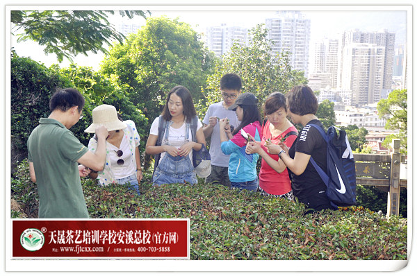 第135期天晟茶艺培训学校中国茶学系统培训班全体学员合照(图4)
