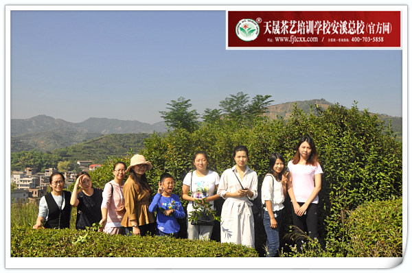 第136期天晟茶艺培训学校中国茶学系统培训班全体学员合照(图3)