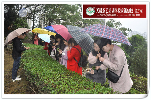 第137期天晟茶艺培训学校中国茶学系统培训班全体学员合照(图3)