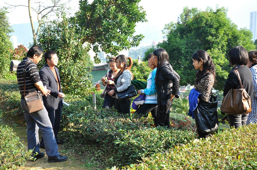第23期天晟茶艺培训学校中国茶学系统培训班全体学员合照(图3)