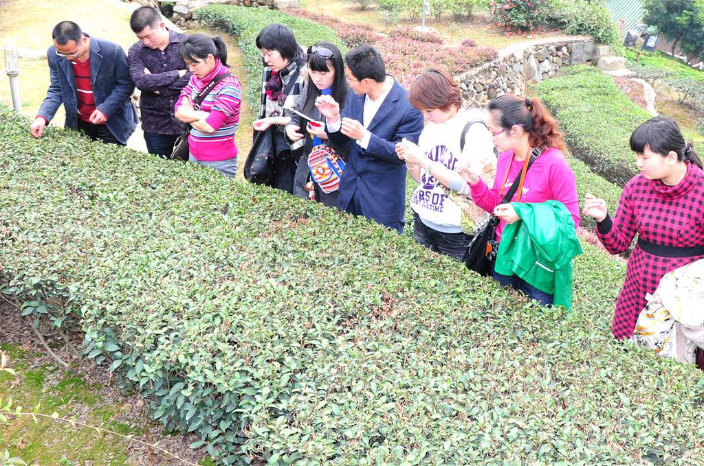 第27期天晟茶艺培训学校中国茶学系统培训班全体学员合照(图2)