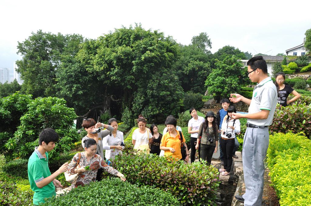 第39期天晟茶艺培训学校中国茶学系统培训班全体学员合照(图3)