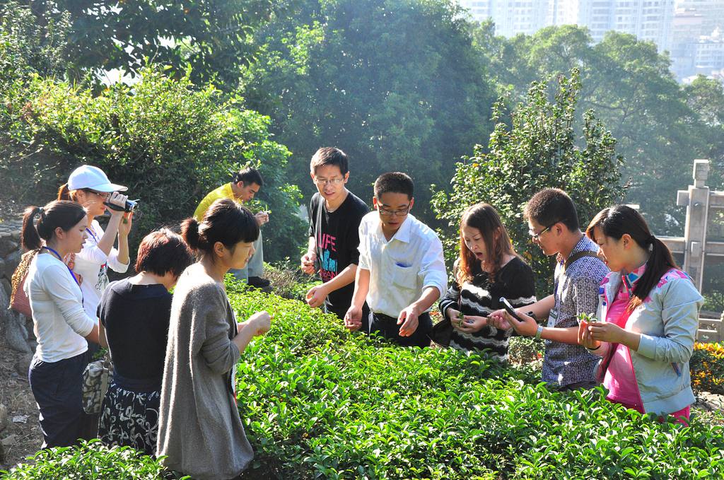 第40期天晟茶艺培训学校中国茶学系统培训班全体学员合照(图2)