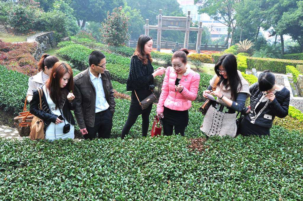 第44期天晟茶艺培训学校中国茶学系统培训班全体学员合照(图1)