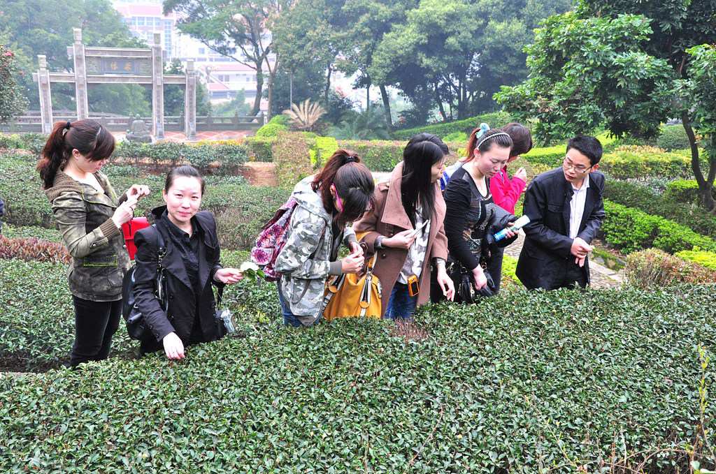 第45期天晟茶艺培训学校中国茶学系统培训班全体学员合照(图3)