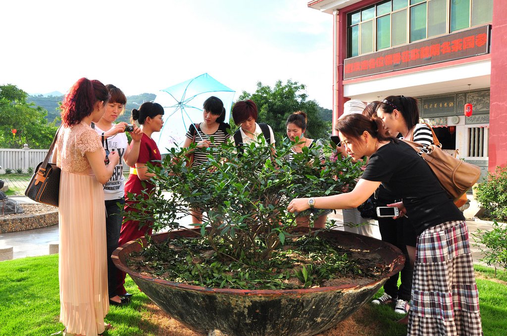 第48期天晟茶艺培训学校中国茶学系统培训班全体学员合照(图3)