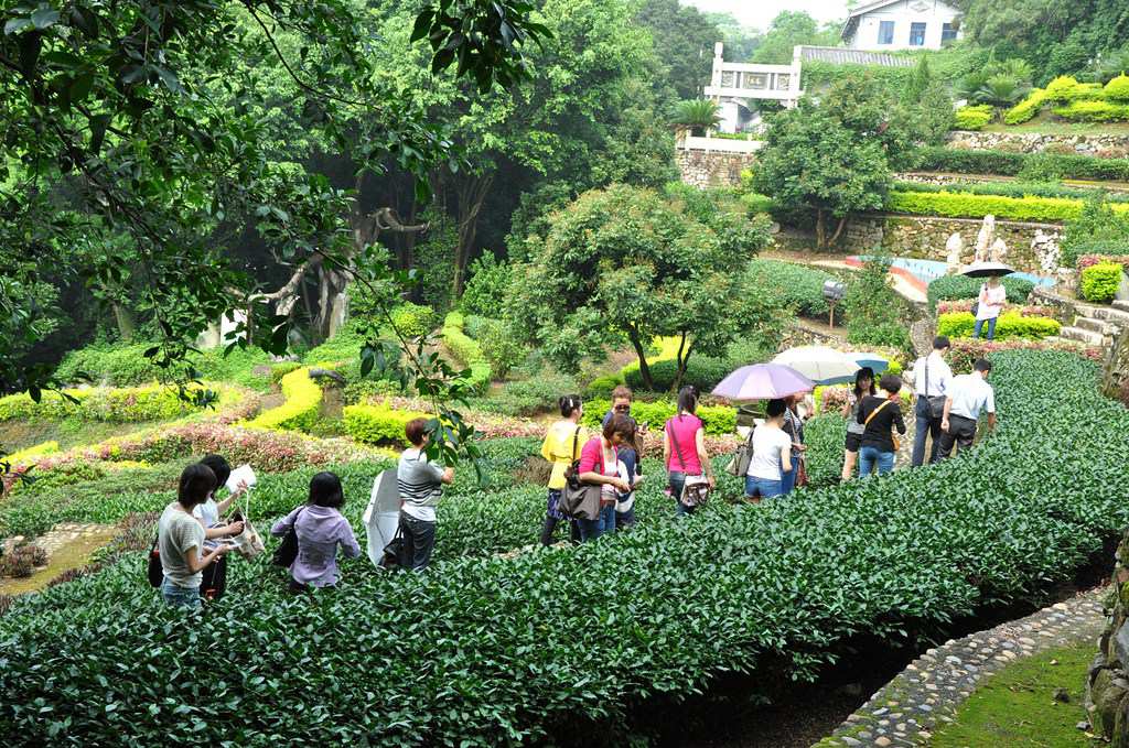第49期天晟茶艺培训学校中国茶学系统培训班全体学员合照(图2)