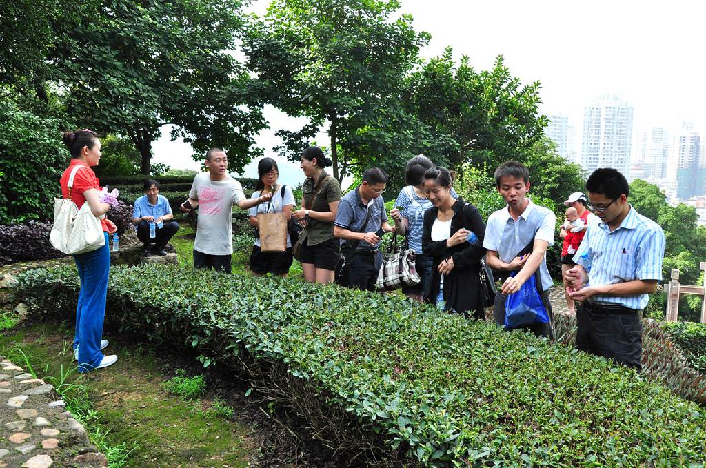 第51期天晟茶艺培训学校中国茶学系统培训班全体学员合照(图1)