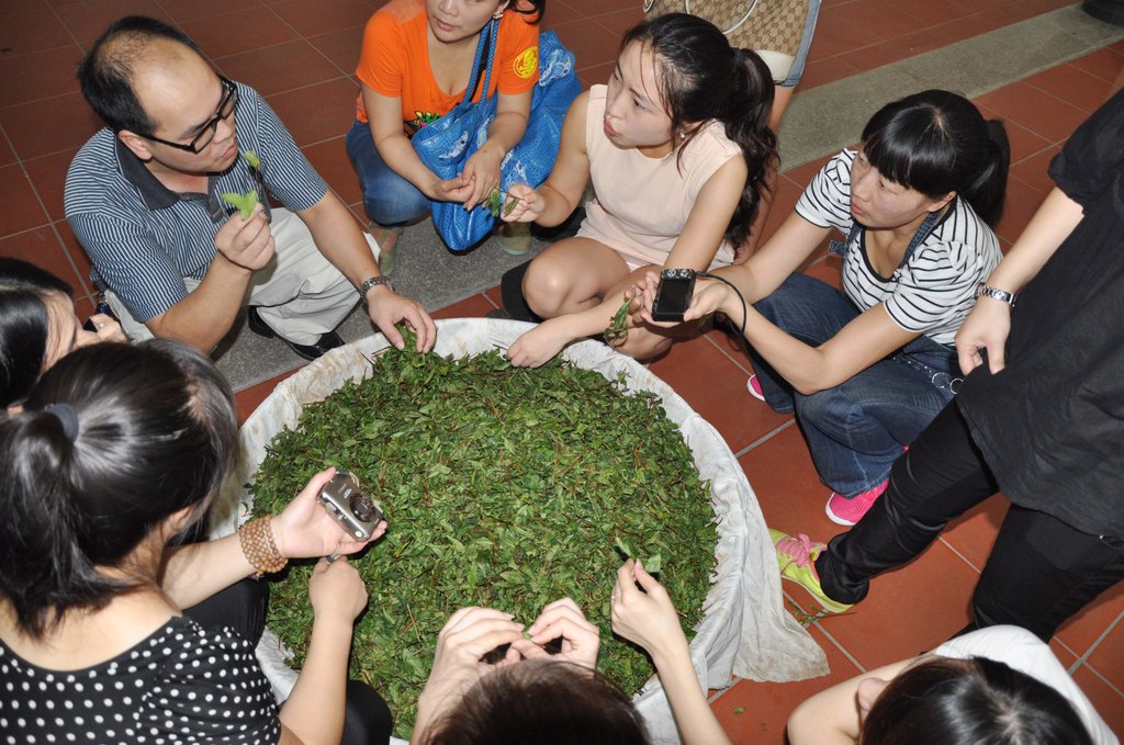 第55期天晟茶艺培训学校中国茶学系统培训班全体学员合照(图3)