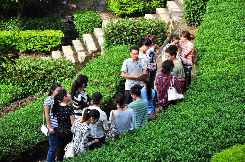 第57期天晟茶艺培训学校中国茶学系统培训班全体学员合照(图2)