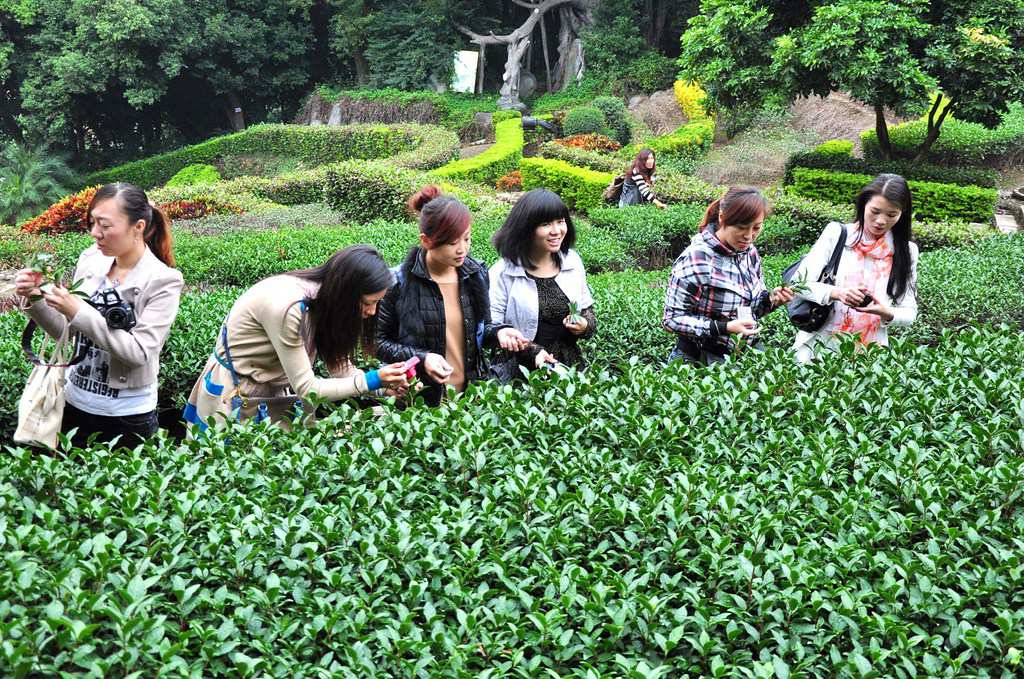 第60期天晟茶艺培训学校中国茶学系统培训班全体学员合照(图2)