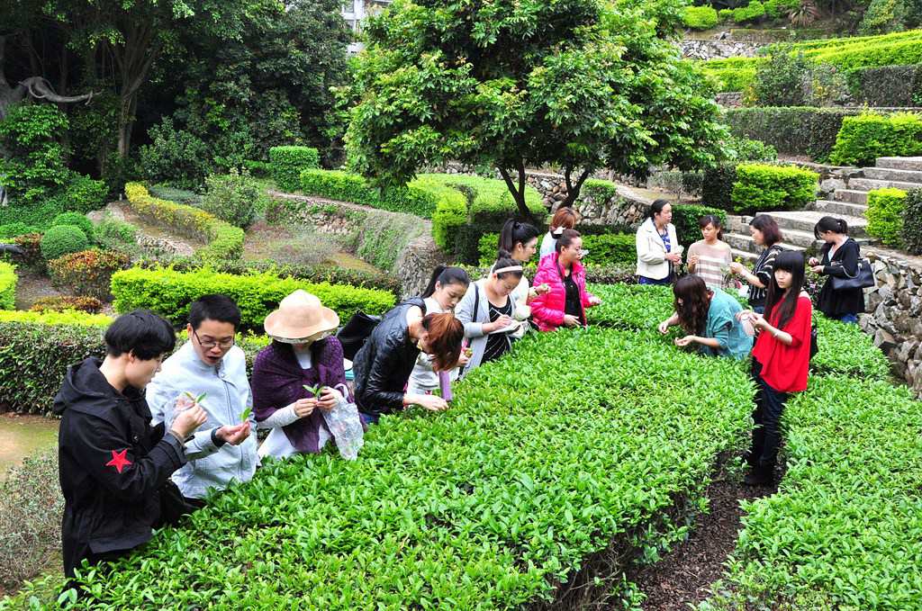 第64期天晟茶艺培训学校中国茶学系统培训班全体学员合照(图1)