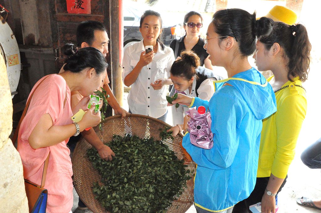 第71期天晟茶艺培训学校中国茶学系统培训班全体学员合照(图2)