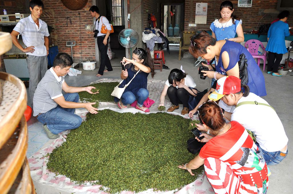 第72期天晟茶艺培训学校中国茶学系统培训班全体学员合照(图3)